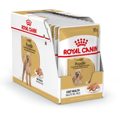 Опаковка с паучове Royal Canin Adult Poodle 85 г, изображение на пудел и порция храна, текст: Coat Health, Caniche/Barboncino, за кучета над 10 месеца.