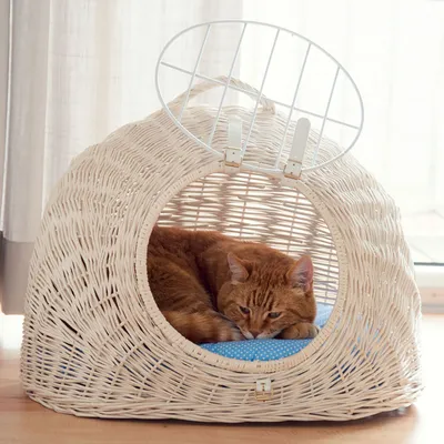 Cat basket made of light woven material with metal grid opening and blue polka dot cushion. Cat is lying relaxed inside.