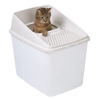 Kattebakke med topindgang i hvid plast, brunstribet kat ses gennem åbningen. Perforeret låg synligt foroven.