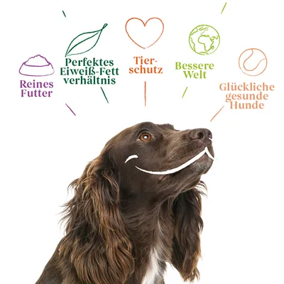 Reines Futter, perfektes Eiweiss-Fett-Verhältnis, Tierschutz, bessere Welt, glückliche gesunde Hunde. Illustration mit Hund und Symbolen.