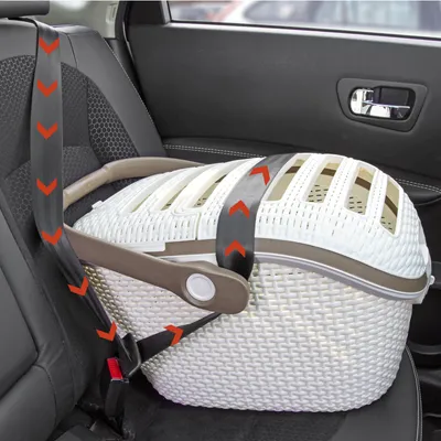 Transportkorb aus Kunststoff mit Sicherheitsgurt im Auto befestigt. Rote Pfeile zeigen die korrekte Gurtführung für sicheren Transport.