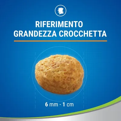 Riferimento grandezza crocchetta, diametro visibile 6 mm – 1 cm. Immagine di una singola crocchetta su sfondo blu con testo informativo.