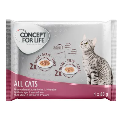 Concept for Life All Cats, Nassfutter für ausgewachsene Katzen ab 1 Jahr, 4x85g. Enthält 2x Sauce und 2x Gelee. Unterstützt Gewichtserhalt, Haarballfunktion und Harnwegsgesundheit.