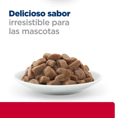 Texto: Delicioso sabor irresistible para las mascotas. Plato blanco con trozos de comida húmeda marrón para mascotas.