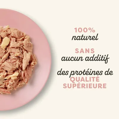 Paquet économique Applaws Cat Natural au bouillon 24 x 70 g