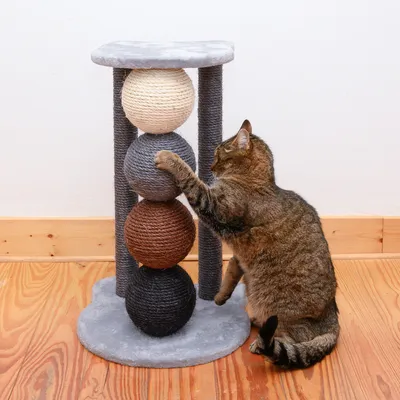 Cat using a multi-level scratching post with four stacked rope balls, demonstrating product use for scratching and play.