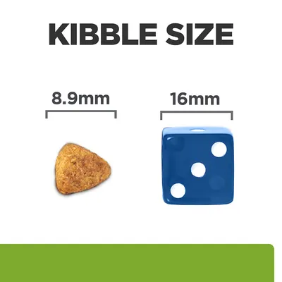 Kibble size comparison showing a piece of kibble measuring 8.9mm next to a blue die measuring 16mm.