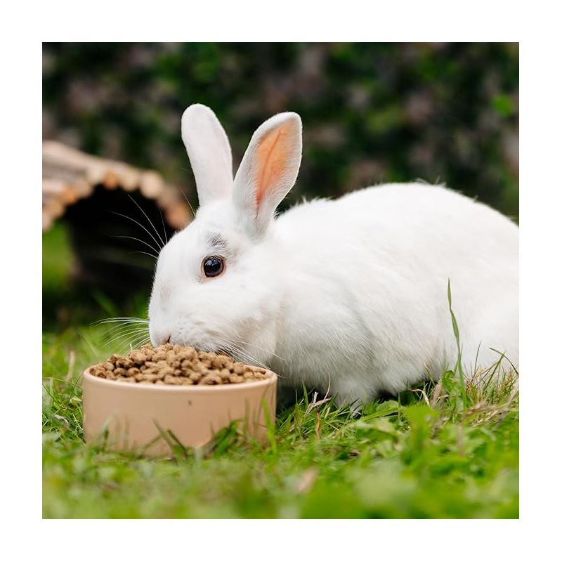 Burgess Excel Adult Rabbit Nuggets with Oregano