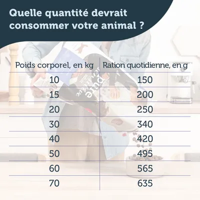 Tableau des rations quotidiennes : poids corporel 10–70 kg, ration 150–635 g. Exemple : 10 kg = 150 g, 30 kg = 340 g, 70 kg = 635 g. Titre : Quelle quantité devrait consommer votre animal ?