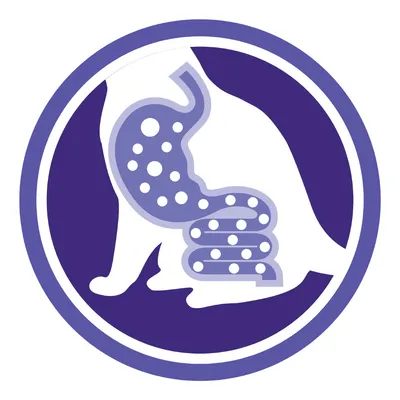 Ilustrácia siluety mačky s vyznačeným žalúdkom a črevami, zvýraznené bodkami v tráviacom trakte.