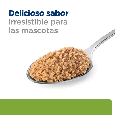 Cucharada de comida húmeda para mascotas con texto: Delicioso sabor irresistible para las mascotas.