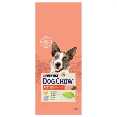 Opakowanie Purina Dog Chow Active Adult z kurczakiem, 14 kg. Widoczny pies, tekst: Naturium, wybrane naturalne składniki, z kurczakiem, lista cech produktu.