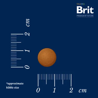 Brit Premium by Nature Junior M