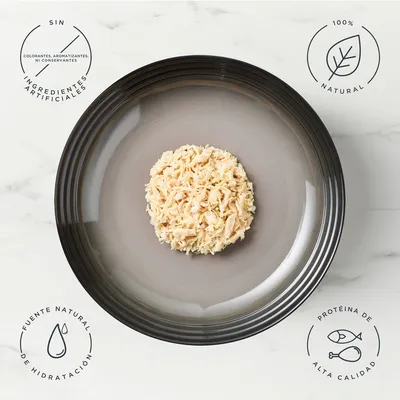 Encore en latas 12 x 156 g comida húmeda para perros