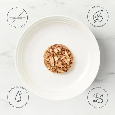 Encore Cat Jelly Pouch Multipack 20 x 50g