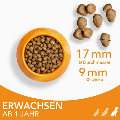 Trockenfutter für erwachsene Hunde ab 1 Jahr. Krokettengrösse: Durchmesser 17 mm, Dicke 9 mm. Abgebildet in einem orangefarbenen Napf und einzeln dargestellt.