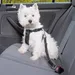 Trixie Dog Car Harness