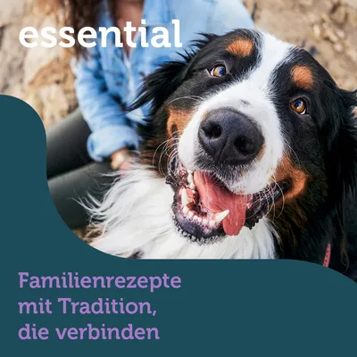 essential. Familienrezepte mit Tradition, die verbinden.
