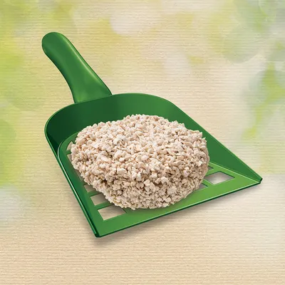 Grüne Streuschaufel mit Klumpen aus Katzenstreu, geeignet zur Reinigung von Katzentoiletten.