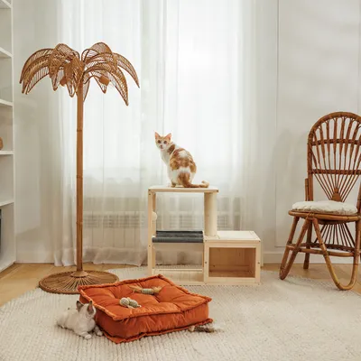 Holz-Kratzbaum mit zwei Ebenen und Kratzsäule, orangefarbenes Katzenkissen mit Spielzeug auf Teppich, dekorative Palme und Rattan-Stuhl im Hintergrund.