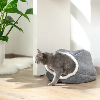 Grey cat sitting in a grey, cosy cat bed with a white rim. The bed is on a wooden floor next to a plant.