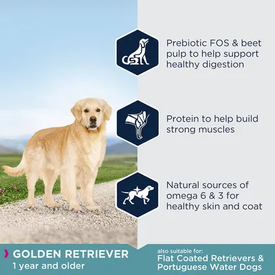 GOLDEN RETRIEVER 1 year and older. Prebiotic FOS & beet pulp, protein, omega 6 & 3. Også egnet til Flat Coated Retrievers & Portuguese Water Dogs. Tekst på engelsk.
