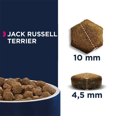 Kibble for Jack Russell Terrier shown in a bowl, with close-up images displaying kibble size as 10 mm wide and 4.5 mm thick.