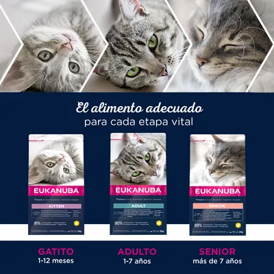 Tres sacos de pienso Eukanuba para gatos: Kitten 1–12 meses, Adult 1–7 años y Senior más de 7 años. Texto: 'El alimento adecuado para cada etapa vital'. Fotos de gatos en cada etapa.