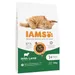 IAMS Advanced Nutrition Adult Cat con Agnello Crocchette gatto
