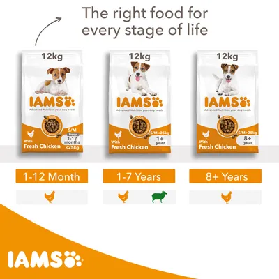 Τρεις συσκευασίες IAMS 12kg με κοτόπουλο για σκύλους: 1–12 μηνών S/M, 1+ έτους S/M έως 25kg, 8+ ετών S/M άνω 25kg. Ενδείξεις ηλικίας και βάρος κάτω από κάθε συσκευασία.