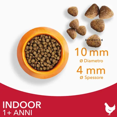 Crocchette in ciotola arancione, alcune mostrate da vicino. Testo: 10 mm diametro, 4 mm spessore. INDOOR 1+ ANNI con icona gallina.