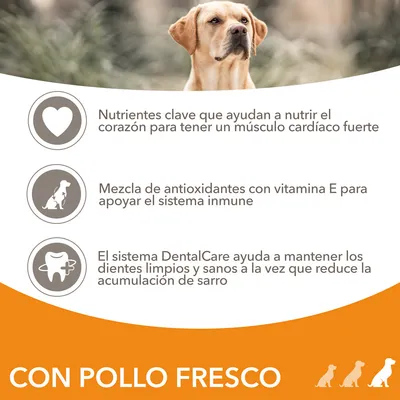 Nutrientes clave para el corazón, antioxidantes con vitamina E para el sistema inmune y sistema DentalCare para dientes limpios. Texto: CON POLLO FRESCO.
