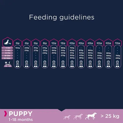 Насоки за хранене на кученца над 25 кг: таблица с препоръчителни дневни дажби според възраст и тегло от 1 до 18 месеца, пример: 2 кг – 150 г, 10 кг – 440 г, 30 кг – 815 г.
