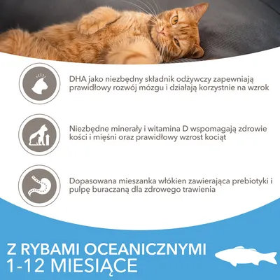 Z rybami oceanicznymi 1–12 miesiące. DHA wspiera rozwój mózgu i wzrok, minerały i witamina D zdrowie kości i mięśni, mieszanka włókien z prebiotykami i pulpą buraczaną dla trawienia.