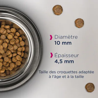 Croquettes en gros plan dans une gamelle, texte : Diamètre 10 mm, Épaisseur 4,5 mm, Taille des croquettes adaptée à l’âge et à la taille.
