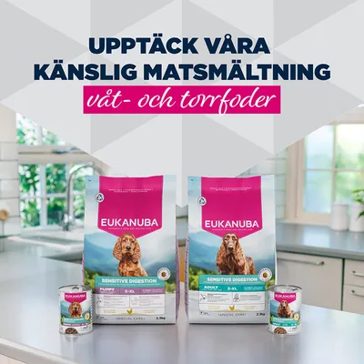 Eukanuba Special Care Adult Sensitive Digestion