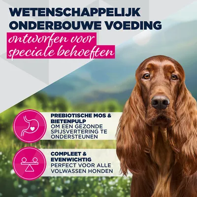 Eukanuba Special Care Adult Sensitive Digestion