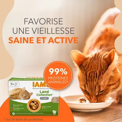 Favorise une vieillesse saine et active, 99 % protéines animales*, IAMS Land Collection in Jelly pour chats 7+ ans, 12x85g. *Sur le total de protéines. Texte en anglais sur l’emballage.