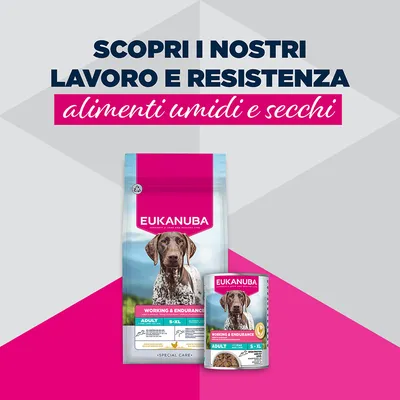 Eukanuba Special Care Adult Working & Endurance