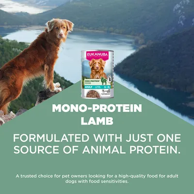 Eukanuba Mono-Protein Lammas, koostettu vain yhdestä eläinproteiinilähteestä. Sopii aikuisille koirille, joilla on ruokaintoleransseja.
