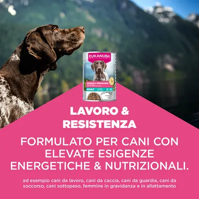Eukanuba Special Care Adult Working & Endurance