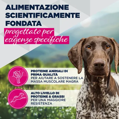 Eukanuba Special Care Adult Working & Endurance
