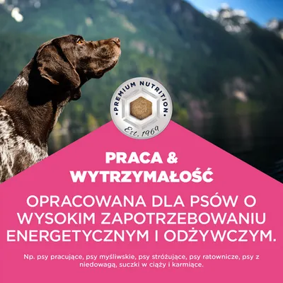 Eukanuba Special Care Working & Endurance Adult