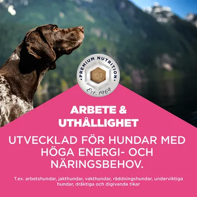 Eukanuba Special Care Working & Endurance Adult