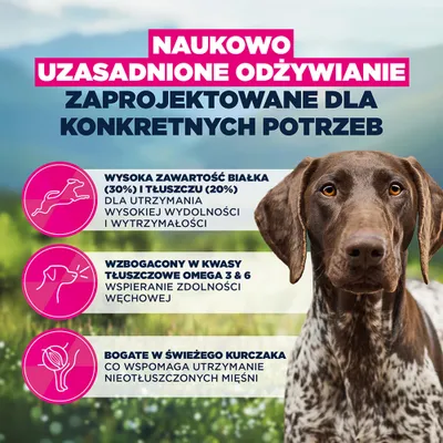 Eukanuba Special Care Working & Endurance Adult