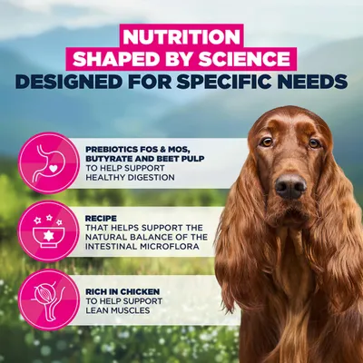 Eukanuba Special Care Adult Sensitive Digestion