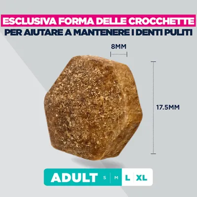 Forma delle crocchette con dimensioni: 8 mm di larghezza, 17,5 mm di altezza. Testo: Forma esclusiva delle crocchette per il sostegno di denti puliti. Adult S M L XL.