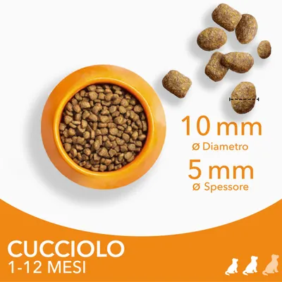 Crocchette per cucciolo 1–12 mesi, diametro 10 mm, spessore 5 mm, visibili in una ciotola arancione e sparse. Testo: 'CUCCIOLO 1-12 MESI', '10 mm Ø Diametro', '5 mm Ø Spessore'.