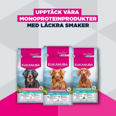 Eukanuba Special Care Mono-Protein Adult Lamb