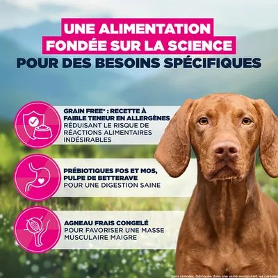 Eukanuba Special Care Mono-Protéine Adult Agneau
